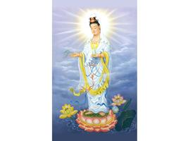 برنامه‌نما Goddess Of Mercy 观世音菩萨 结缘 عکس از صفحه