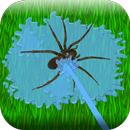 Insect Fighter APK