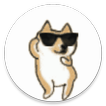 ”Dancing Dog-Shiba Inu,Doge
