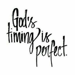 collection of English wise words