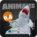 ARanimales