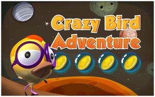 Crazy Bird Adventure पोस्टर