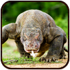 Komodo Dragon Lizard Rampage APK