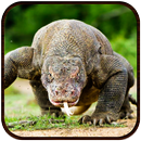 Komodo Dragon Lizard Rampage APK