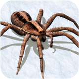 Ultimate Spider Simulator - RPG Game icon