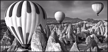 Black and White Wallpapers