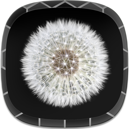 Black and White Wallpapers