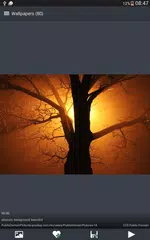 download Cool Wallpapers APK