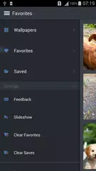 Скачать Фото Собак Обои APK