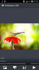 Скачать Цветы Обои APK