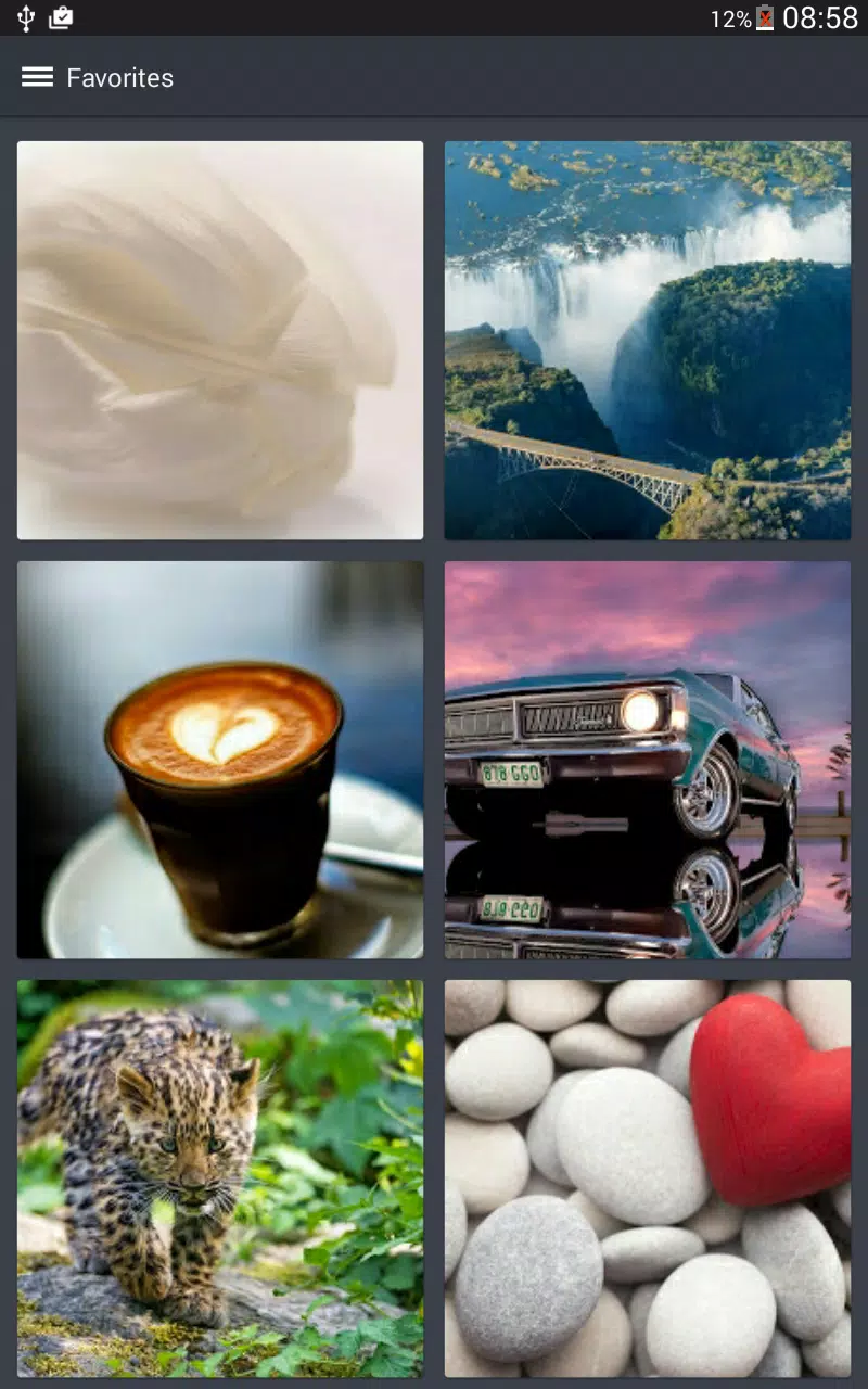 下載壁纸和背景图片额外费用的安卓版本