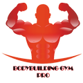 7 days bodybuilding gym pro