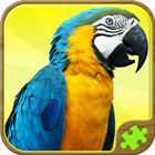 Animal Puzzle Games icon