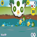 Number Fish