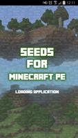 Seeds - Minecraft PE Affiche