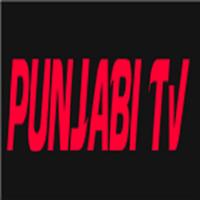 Punjabi Tv New скриншот 3