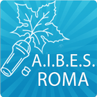 A.I.B.E.S. Roma icône