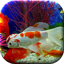 Aquarium Live Wallpaper APK