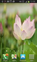 Lotus Flower Live Wallpaper تصوير الشاشة 1