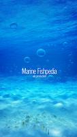 Poster Marine Fishpedia