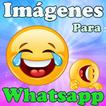 Images pour WhatsApp