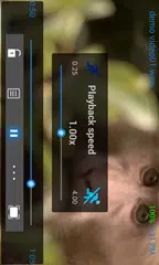 download The Excellent Video Player 3D APK
