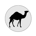 Akhbaarta Wanaagsan