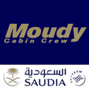 Moudy Cabin Crew APK