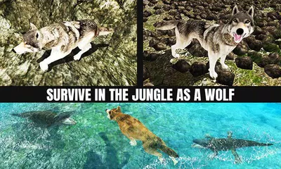 download The Wolf vs Dinosaur Adventure APK