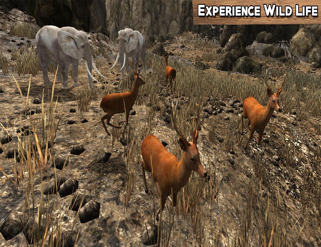 Wildlife моды. Wild Life игра. Wildlife игра персонажи. Wild Life VR.
