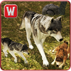 Wild Wolf Adventure Simulator APK