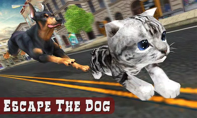 Jogos de Gato: Fofo Pet Cidade APK (Android Game) - Baixar Grátis