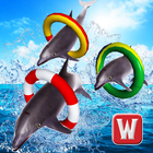 Dolphin Racing Simulator 3D icône