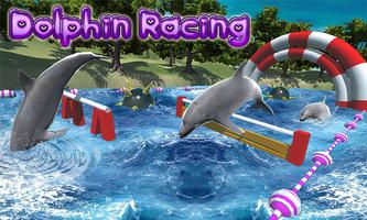 Dolphin Racing Simulator 3D Affiche