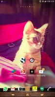 my kitten wallpaper screenshot 2