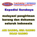 Natayu Express APK