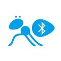 Ant