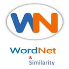 Wordnet & Similarity icon