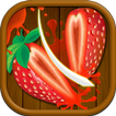 Fruit Master