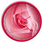 Pink Roses Live Wallpaper Clock icône