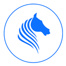 APK Stake - Bet Calculator