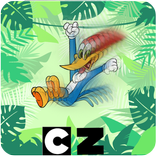 woody Jungle woodpecker adventure