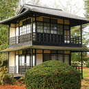 Wooden House Design Best and Free APK
