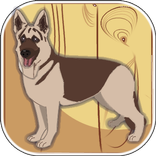 Puzzle Pets - funny pictures.