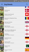 Poster Dog Breeds by Country