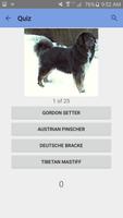 Dog Breeds by Country imagem de tela 3