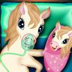 Pony Pregnancy Maternity