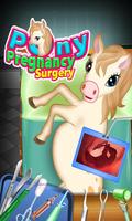Pony Pregnancy Maternity poster