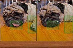 Animals Spot the Difference 截圖 1