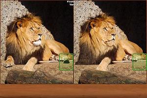 Safari Spot the Difference پوسٹر